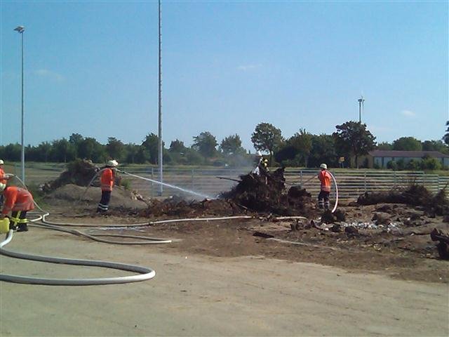 feuerfastgelscht.jpg